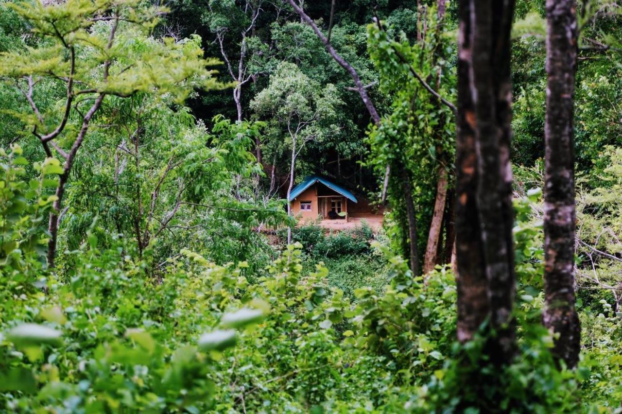 Chalet In The Jungle Pallegama Exterior foto